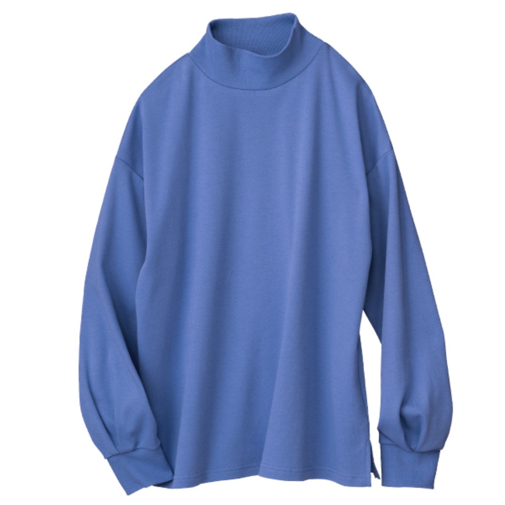 L.L. Bean Blue Turtle Neck Top 100% Cotton Casual Layer Classic 2X Regular Fit